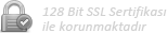 SSL Güvenlikli Site